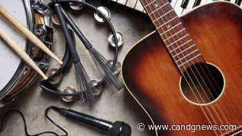 Madison Heights Arts Board plans socially distanced music festival - C&G Newspapers