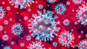 Broome Reports Another Day of Double-Digit Coronavirus Positives - wnbf.com
