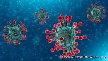 Number of confirmed coronavirus cases in Essex reaches 5738 - Echo