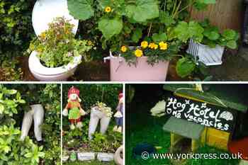 Is this the quirkiest garden in York?