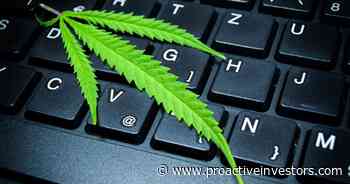 Zelira Therapeutics to outline progress of Zenivol™ and HOPE™ at Proactive"s medical cannabis webinar on Aug 11 - Proactive Investors USA & Canada