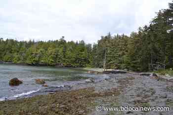 Ucluelet's Terrace Beach Resort is for sale – BC Local News - BCLocalNews