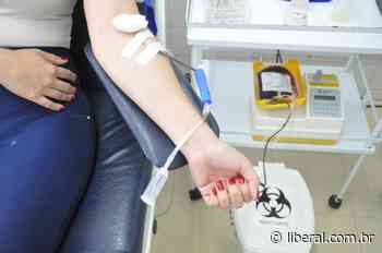 Doação de sangue no HM de Americana agora pode ser agendada via aplicativo - O Liberal