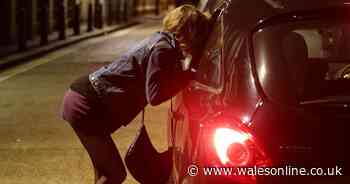 'Degrading' sex workers ratings website sheds light on seedy industry