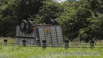 Vehicle and cattle trailer overturned on M2