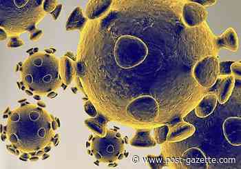 New daily COVID-19 cases in Allegheny County continue to fall