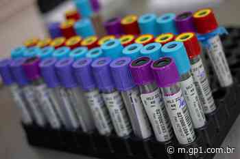 Timon registra 2.607 pessoas curadas do novo coronavírus - GP1