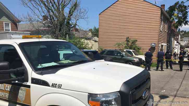 Pittsburgh Police Detain Woman With Warrant For Her Arrest While Responding To Paintball Shooting Report