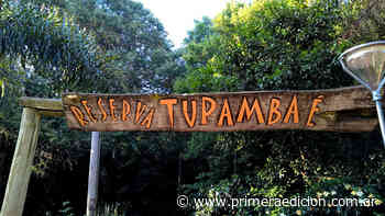 Caminatas por reserva Tupambaé - Primera Edicion