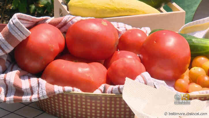 ‘This Year Was Important’ | COVID-19 Pandemic Highlights Importance Of Farmers Markets, Local Vendors Say