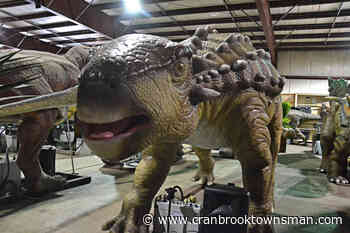 T-Rex earns big bids at BC dino auction – Cranbrook Daily Townsman - Cranbrook Townsman