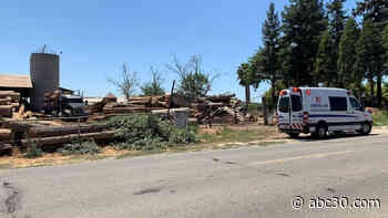 62-year-old man dies after log falls on him while unloading lumber truck
