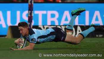 Super Rugby AU: Alex Newsome scores spectacular try as Waratahs thump Reds 45-12 - The Northern Daily Leader