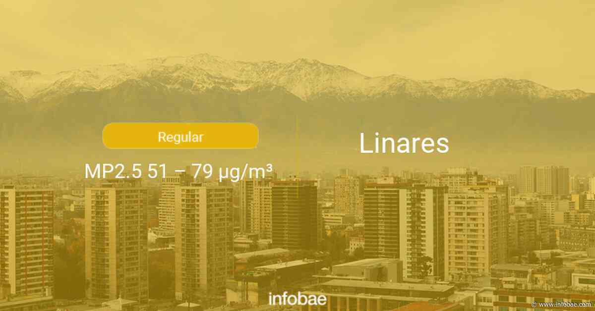 Calidad del aire en Linares de hoy 8 de agosto de 2020 - Condición del aire ICAP - infobae