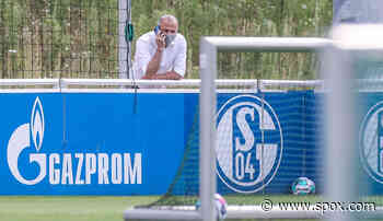FC Schalke 04 - News und Gerüchte: S04 will entlassene Fahrer weiterbeschäftigen - SPOX