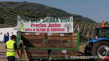 Jaén pide precios justos para el aceite ante la crisis del olivar: "Estamos asfixiados" - El Español
