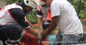 Camioneta mata a ancianito tras arrollarlo en Tantoyuca - Vanguardia de Veracruz
