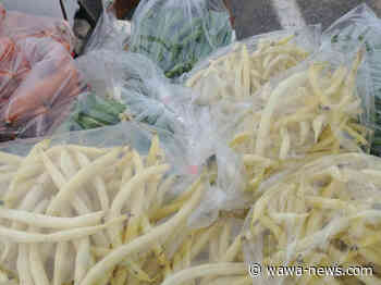 Farmer's Market – August 8 & 9 – Wawa-news.com - Wawa-news.com