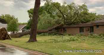 Storms down trees, power lines in parts of Minnesota