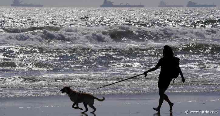 Letter: We’re in the dog days of summer
