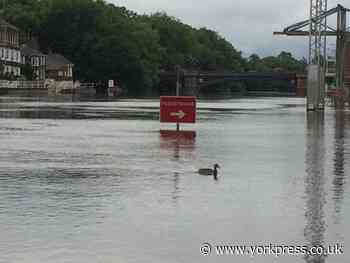 Temporary flood defences were 40cm from failing in February
