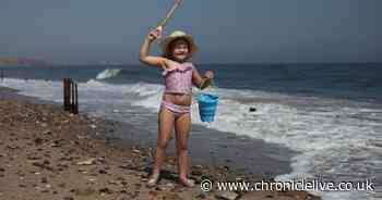 A day at the coast: The hidden gems of Seaham