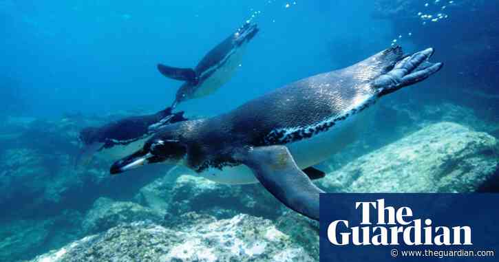 TV tonight: A beautiful trip to the Galápagos Islands
