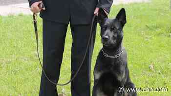A police dog found a missing mom and her baby during his first shift on the force