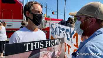 Livestock truckers express safety concerns outside Ontario meat processing plants