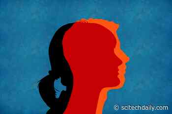 Transgender and Gender-Diverse Individuals Far More Likely to Be Autistic