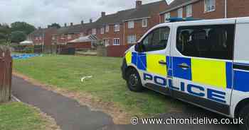 Police give update after armed officers descend on Stanley following incident