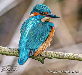 PICTURE CAPTION CHALLENGE: Write a caption for Jon's photo