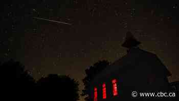 Annual Perseid meteor shower peaks this week: How you can catch some 'shooting stars'