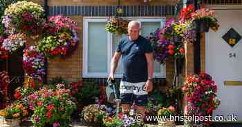 South Bristol man spends three hours a day looking after 900 plants