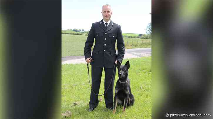 A Police Dog Found A Missing Mom And Her Baby During Its First Shift On The Force