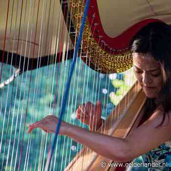 Torck Central Park in Wageningen loopt als een speer