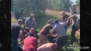 BLM Protesters Beaten by Pro-Police Protesters, Cops Make Arrests