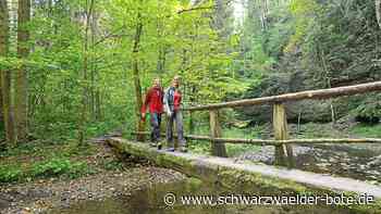 Donaueschingen - Heimat hat noch so einiges zu bieten - Schwarzwälder Bote