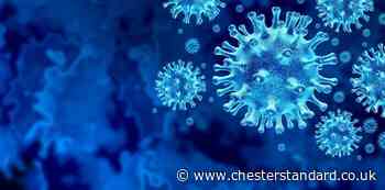 Coronavirus: Three new cases reported in west Cheshire - The Chester Standard