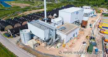 Campaigners call to revoke permit for Barry biomass burner