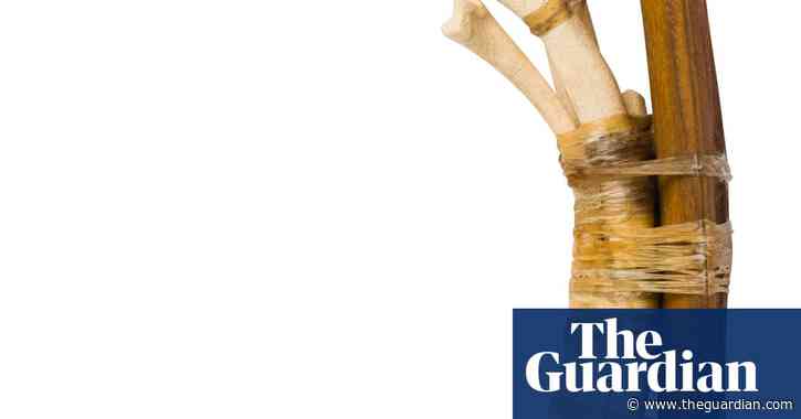 Natsiaa 2020: the winners and finalists of Australia's Indigenous art prize – in pictures