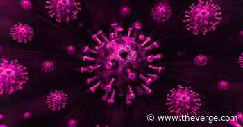 US passes 5 million coronavirus cases - The Verge