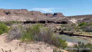 Helicopter crash kills wildlife researchers conducting aerial sheep survey