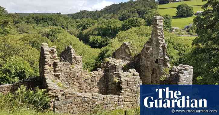 Country diary: wildlife has invaded this fortified house