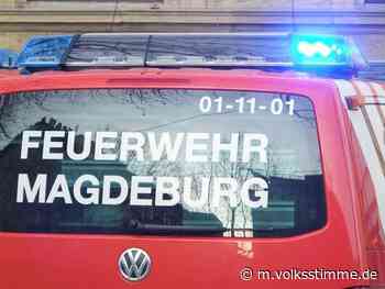 Feuerwehr 100.000 Schaden bei Brand in Magdeburg - Volksstimme