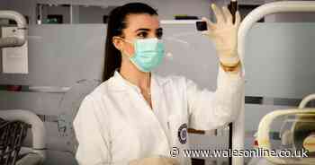 Rise in coronavirus cases as we pass 1,000 for first time since June