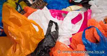 Plastic waste increases during lockdown with little suitable for recycling