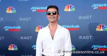 Simon Cowell 'lucky' to avoid life-changing injury after breaking back