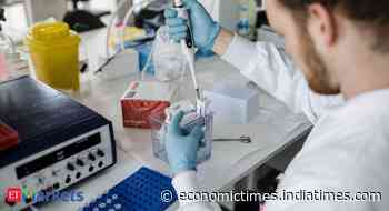Buy Divi's Laboratories, target price Rs 3350: Motilal Oswal - Economic Times
