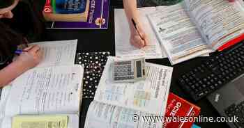 Home-schooling will continue for many during summer holidays
